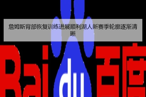 詹姆斯背部恢复训练进展顺利湖人新赛季轮廓逐渐清晰
