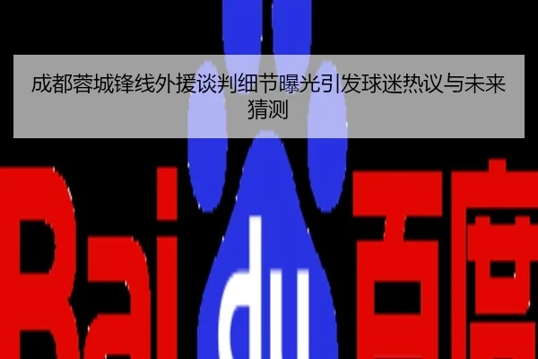 成都蓉城锋线外援谈判细节曝光引发球迷热议与未来猜测